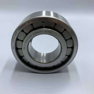 Подшипник F-207813.NUP INA
